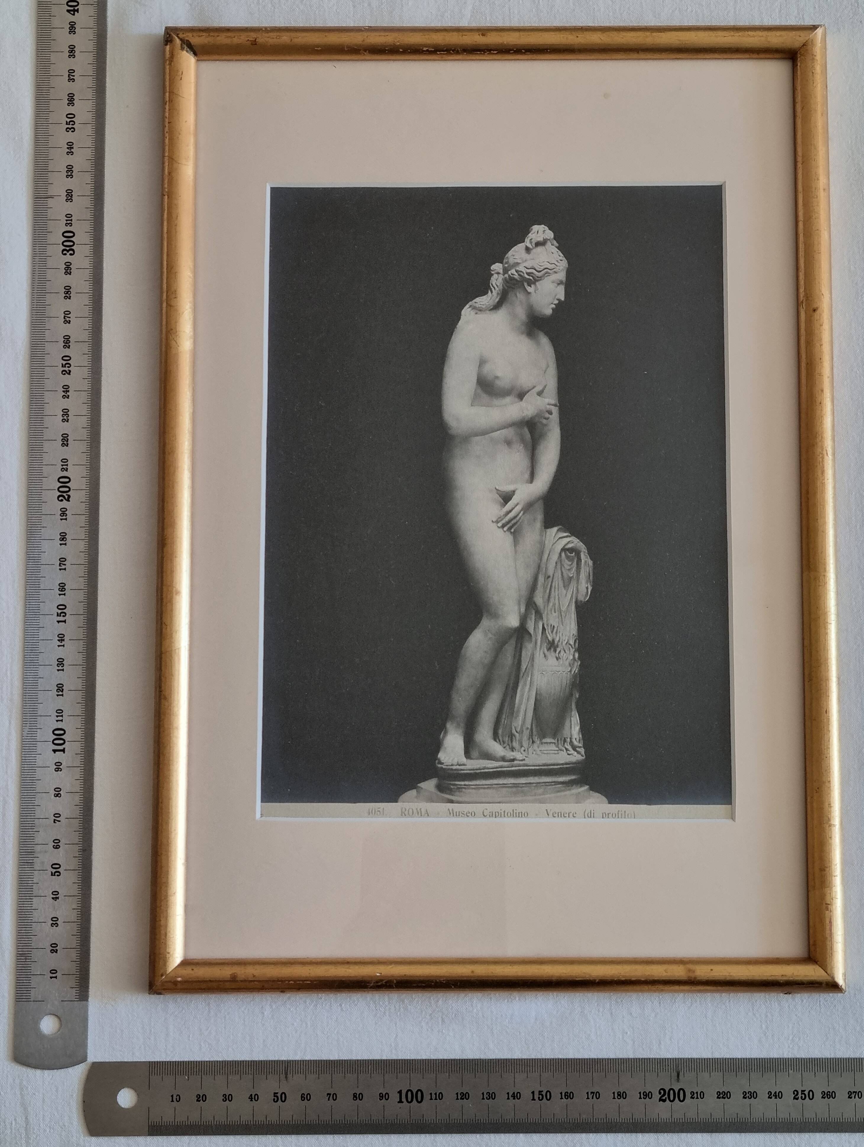Old photograph of Venus in profile, Capitoline Museum, Rome, 1900, 26x39 cm.