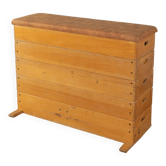 Unique Vaulting Box