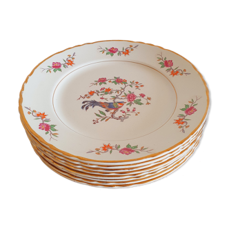 8 vintage plates