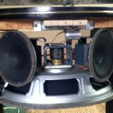 Speaker cassiano 60s
