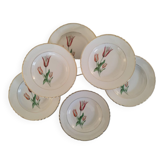 Plates Dessert Cake Old Earthenware Moulin des Loups Orchies Tulip Model