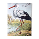 🔎Affiche "Cigogne" par J. F. Schreiber 1893