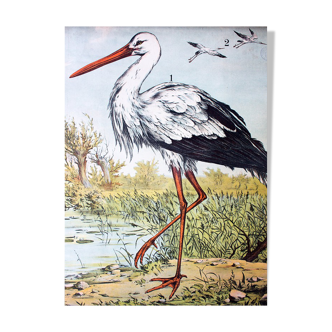 🔎Affiche "Stork" by j. F. Schreiber 1893