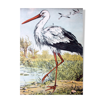 🔎Affiche "Cigogne" par J. F. Schreiber 1893