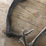 Pair of deer antlers