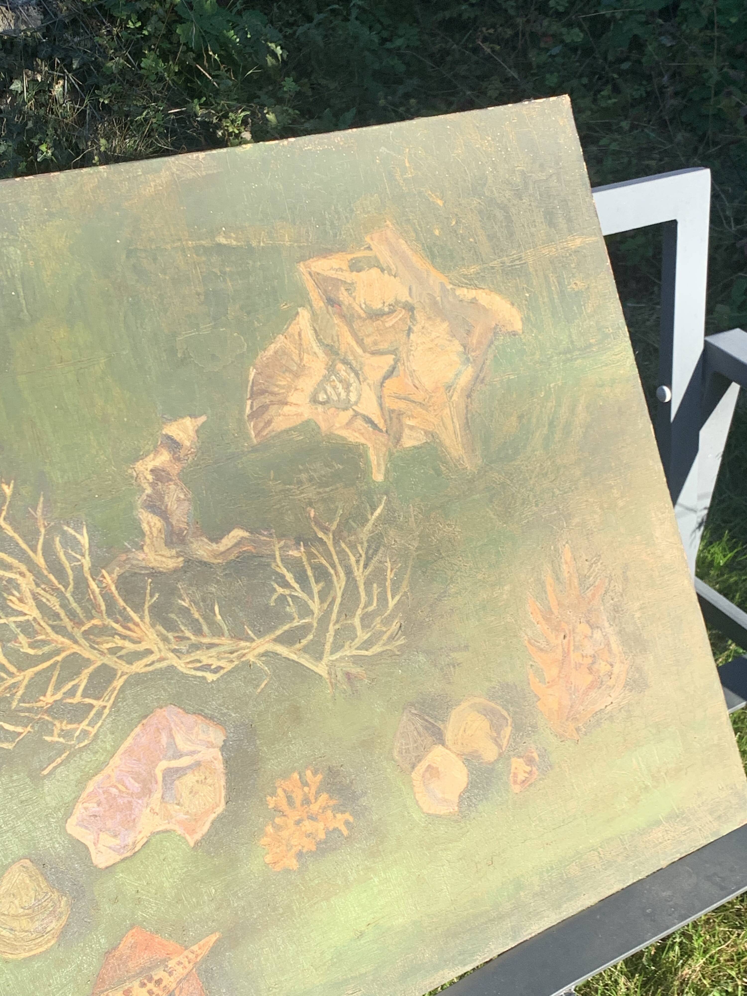 Large painting of shells, cabinet of curiosities, sign, vintage