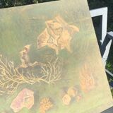 Large painting of shells, cabinet of curiosities, sign, vintage