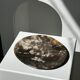 Dish in petrified wood