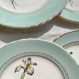 6 vintage white and green porcelain dinner plates Iris Moulin des Loups "Sargosse" 1950s