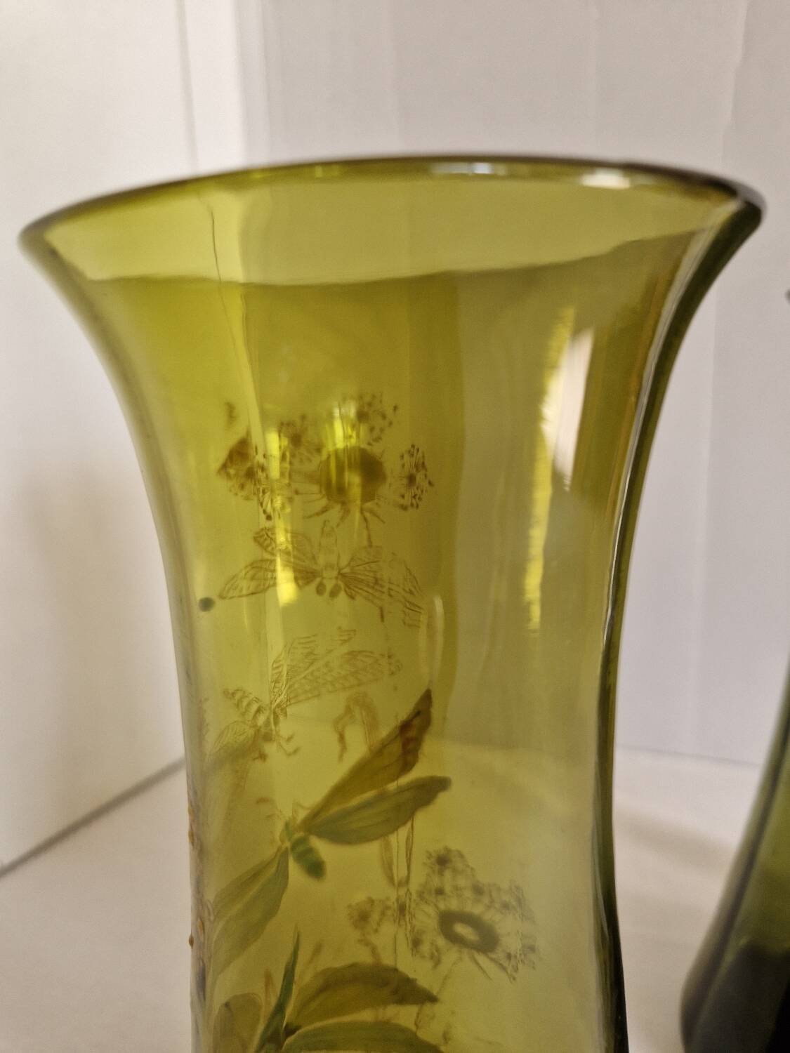 Pair of Enameled Glass Vases with Dragonflies. Unsigned Legras