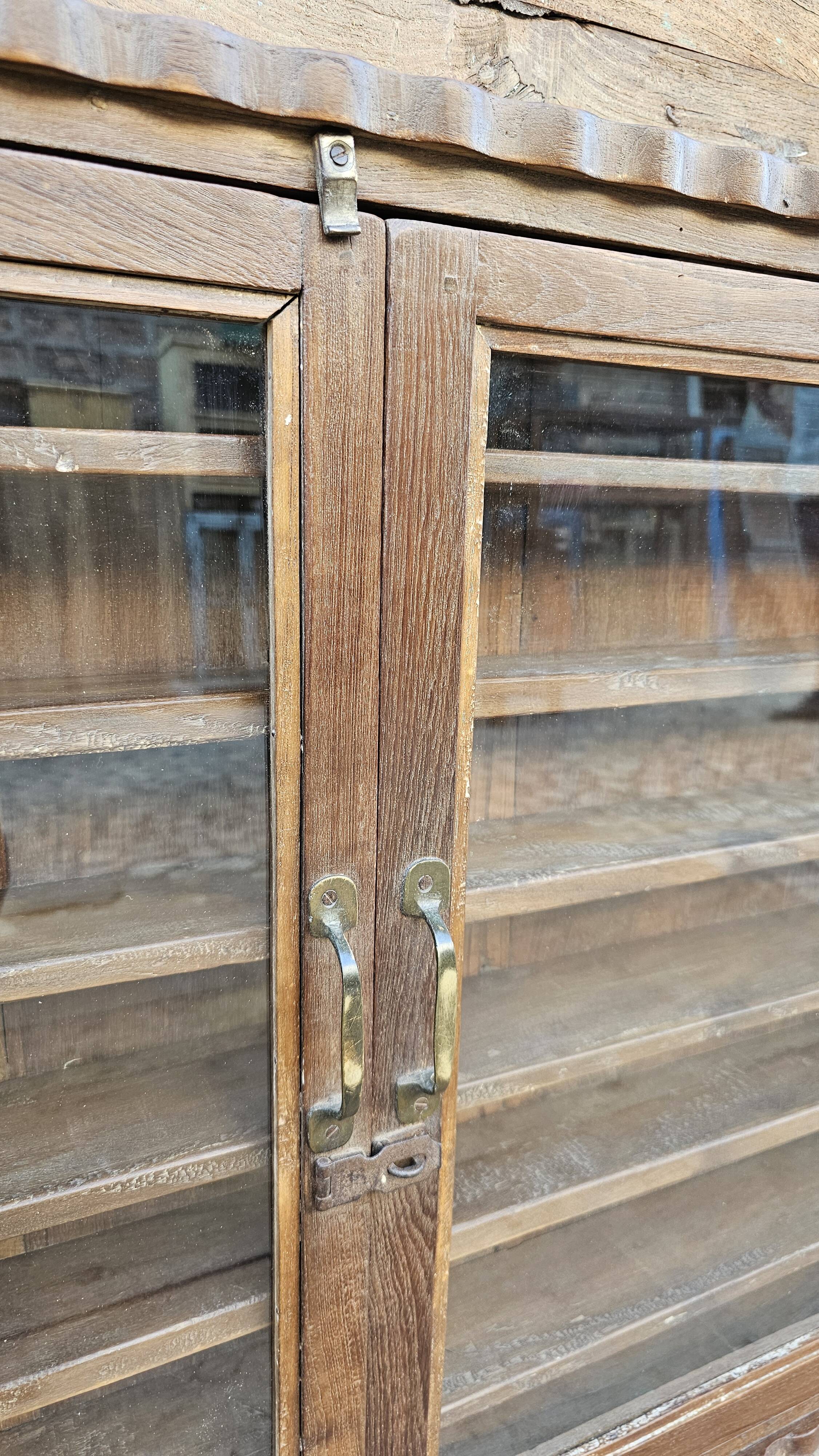 Antique Burmese teak collector's wall display case