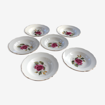Series of 6 hollow plates porcelain of Gien model Chambord