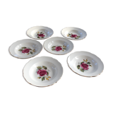 Series of 6 hollow plates porcelain of Gien model Chambord