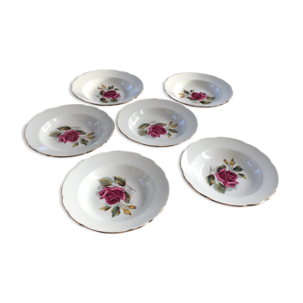 Série de 6 assiettes creuses porcelaine de Gien modèle Chambord