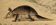 Original zoological board "tatou - cachicame - antelier tamanoir - unau " buffon 1838