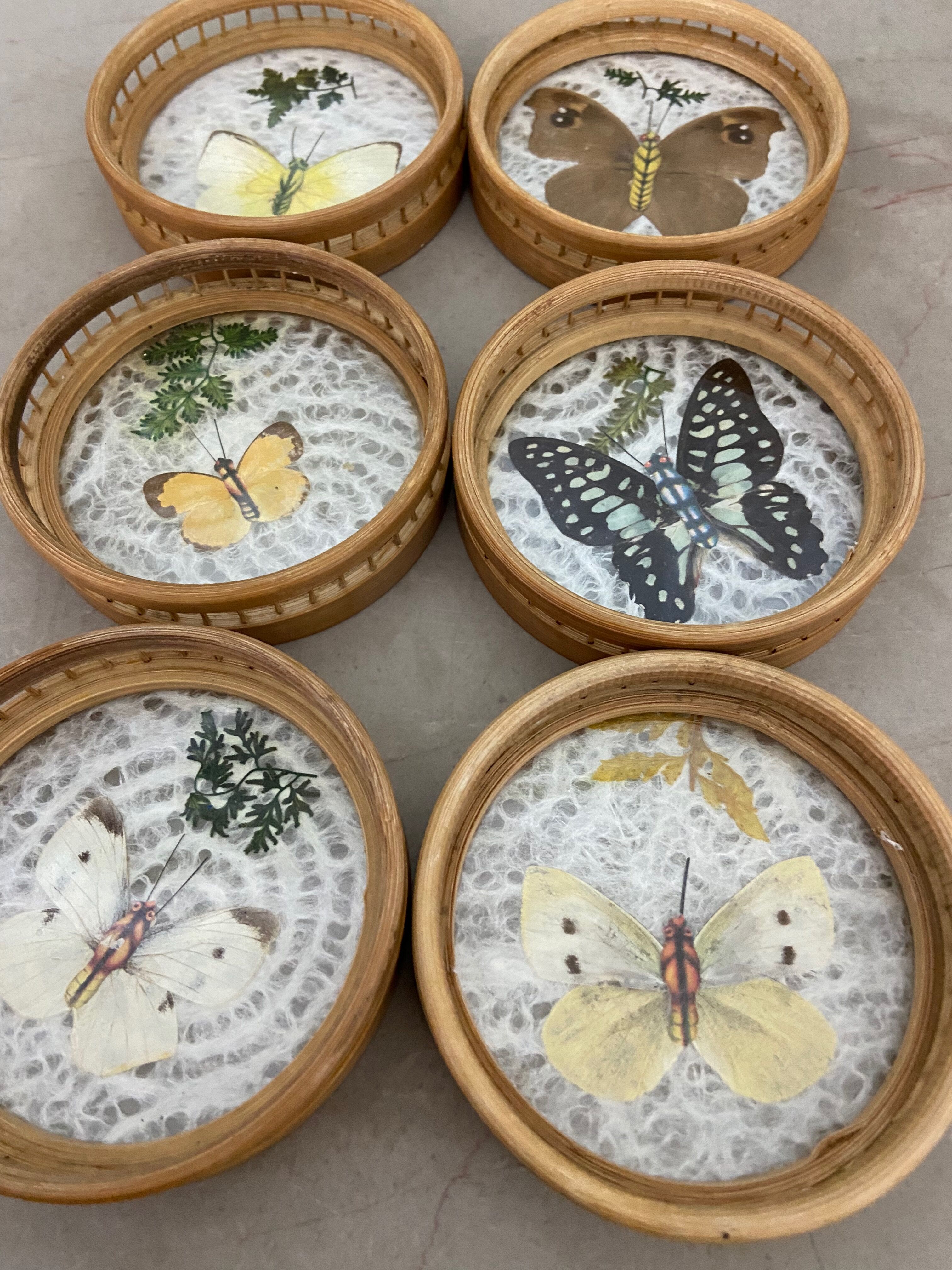 Butterfly coasters