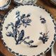 6 flat plates made of Gien earthenware - ironstone - cactus model