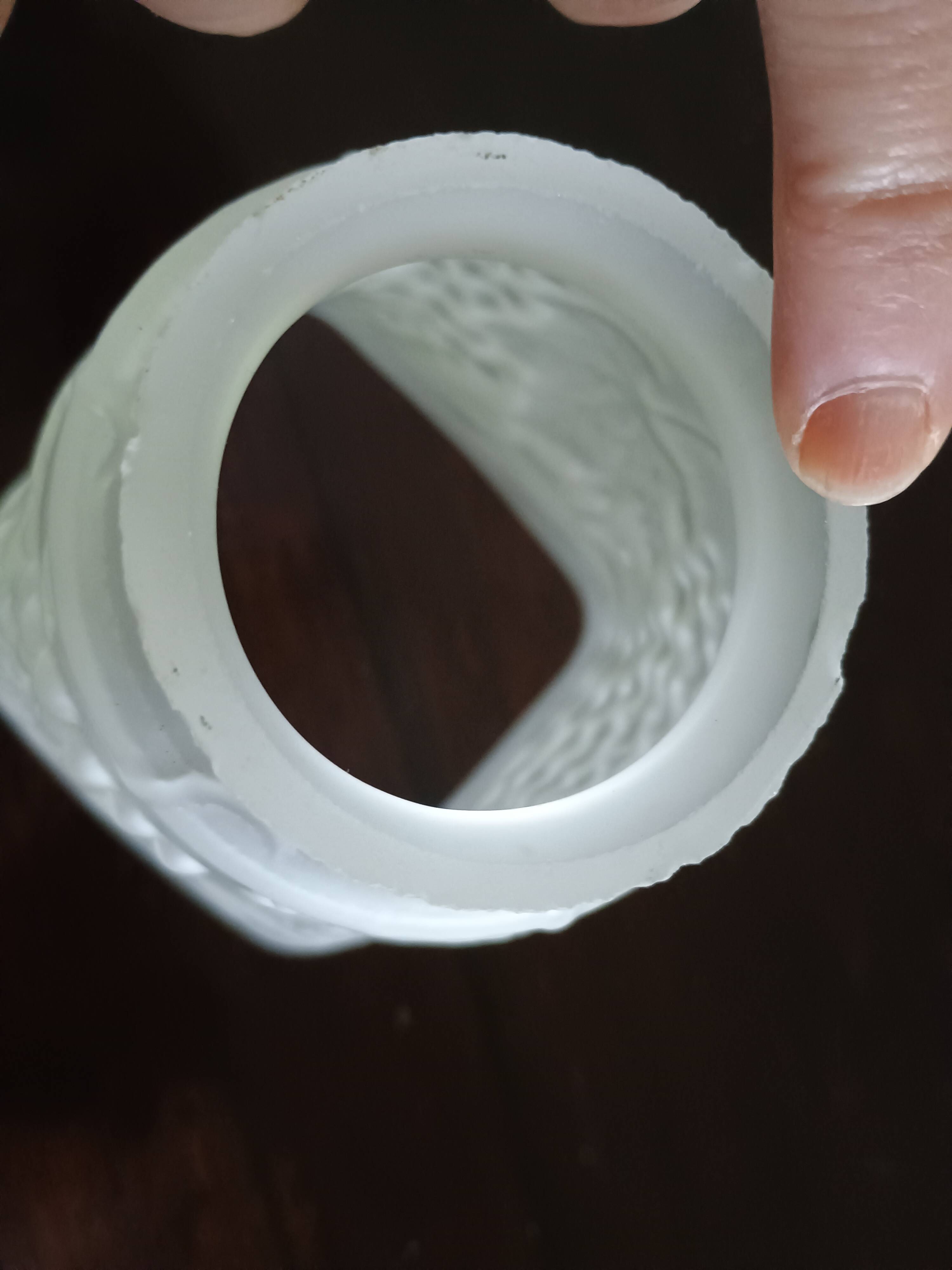 Tulipe lustre ou lampe moulé aux pampre de vigne raisin - verre dépoli