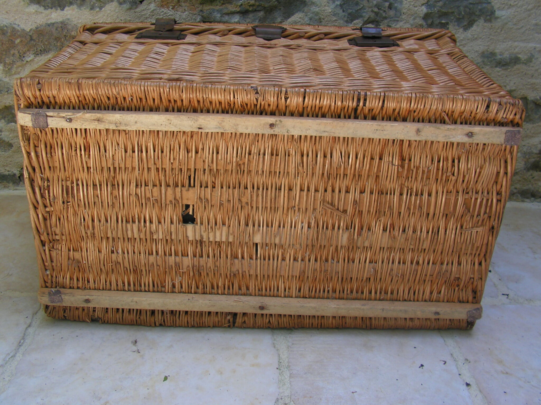 Wicker rattan trunk lined