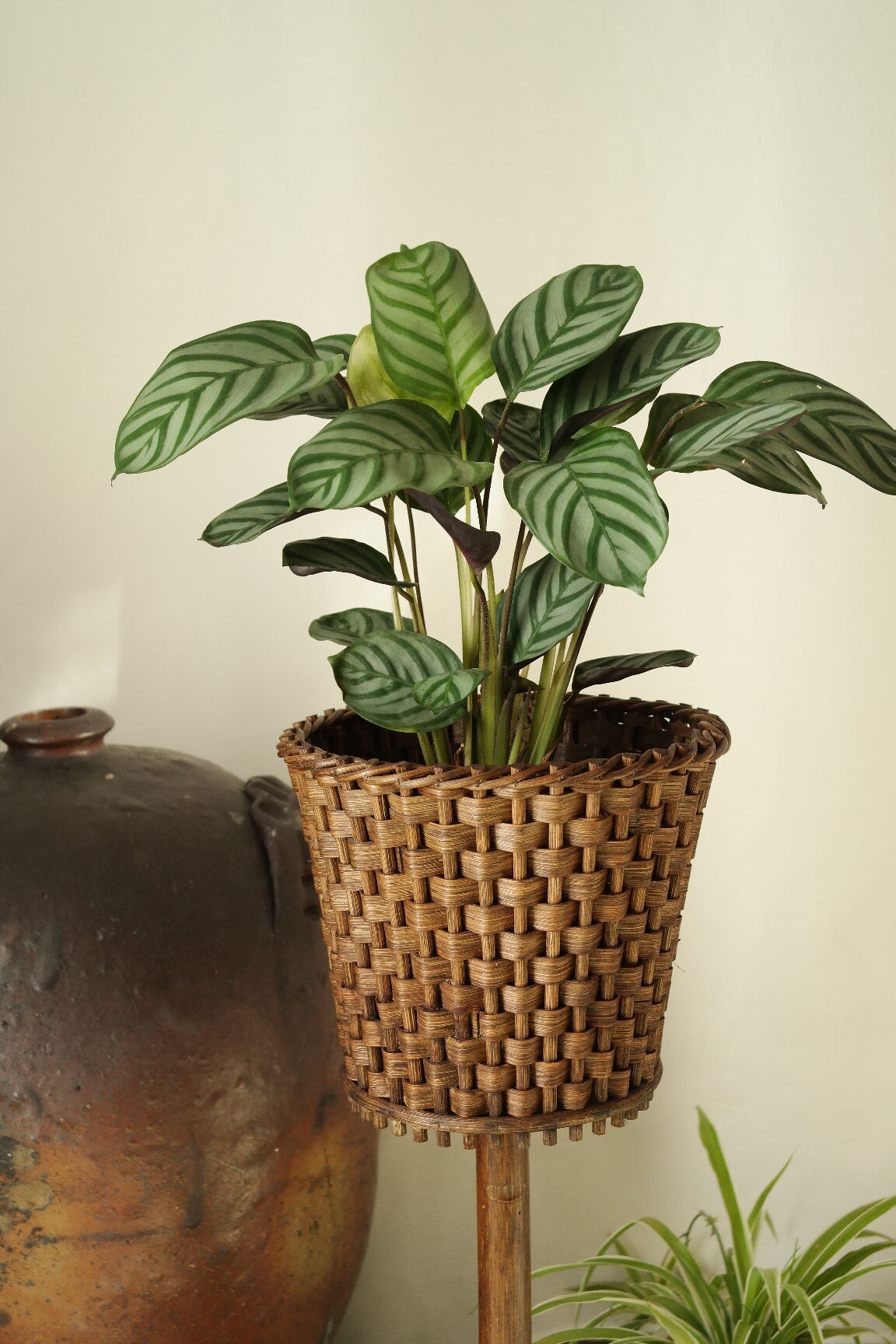 Sole-on-foot door in vintage braided reeded curved wood