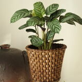 Sole-on-foot door in vintage braided reeded curved wood