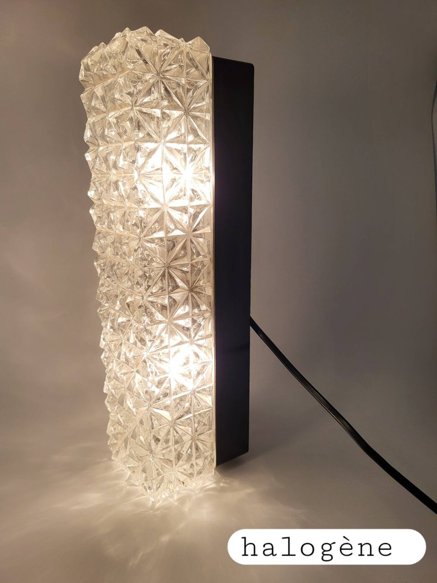 Erco Glass and Bakelite Wall Sconces 1960s, Set of 2 Vintage