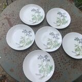 6 winterling bavaria porcelain herbarium pattern flat plates
