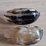 2 buffalo horn cups