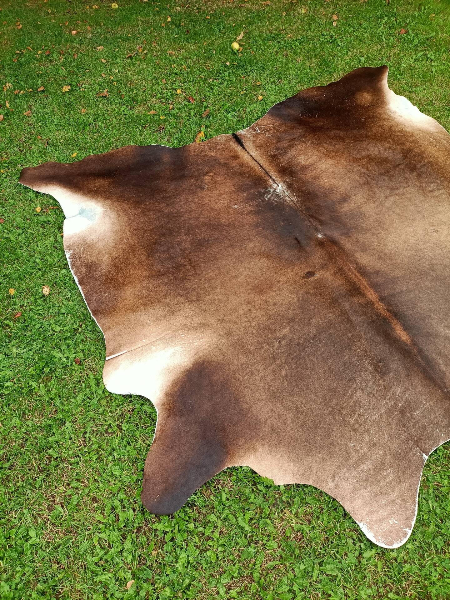 Cowhide Rug