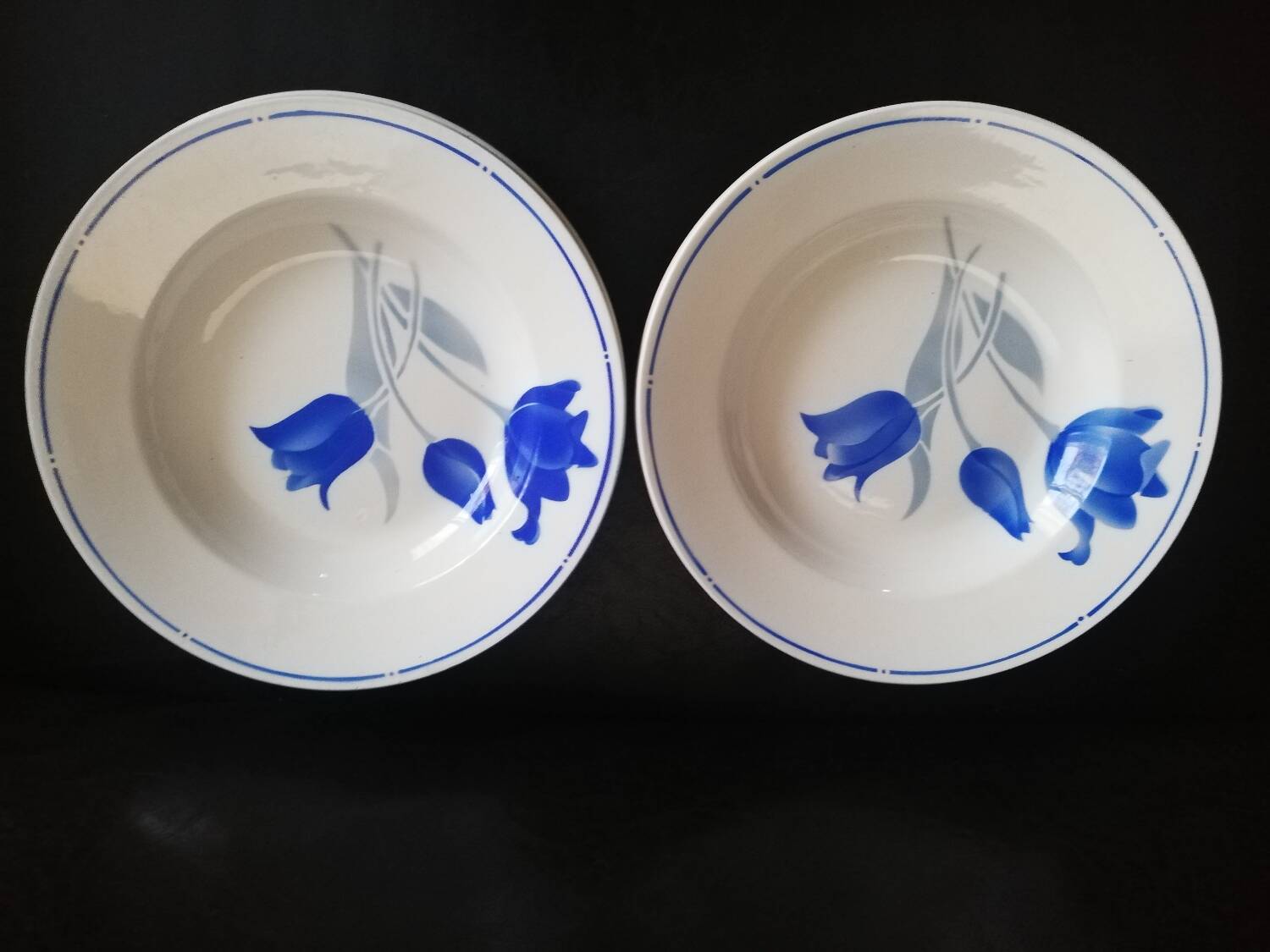 Lot 6 flat plates, 6 hollow Didier MDL