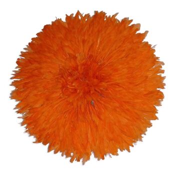 Juju hat orange