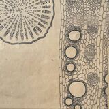 Vintage botanical poster wall board 1970's hand made pharmaceutical university