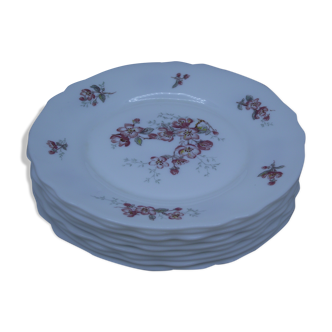Lot de 9 assiettes à dessert Arcopal France