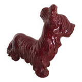 Skye Terrier Dog