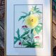 Estampe chinoise fleur jaune