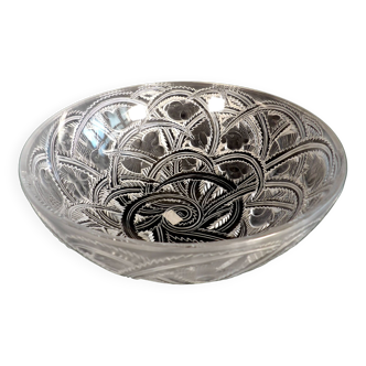 Coupe en cristal lalique modèle "pinsons"