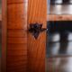 Antique Biedermeier Display Cabinet in Spruce, 1830s