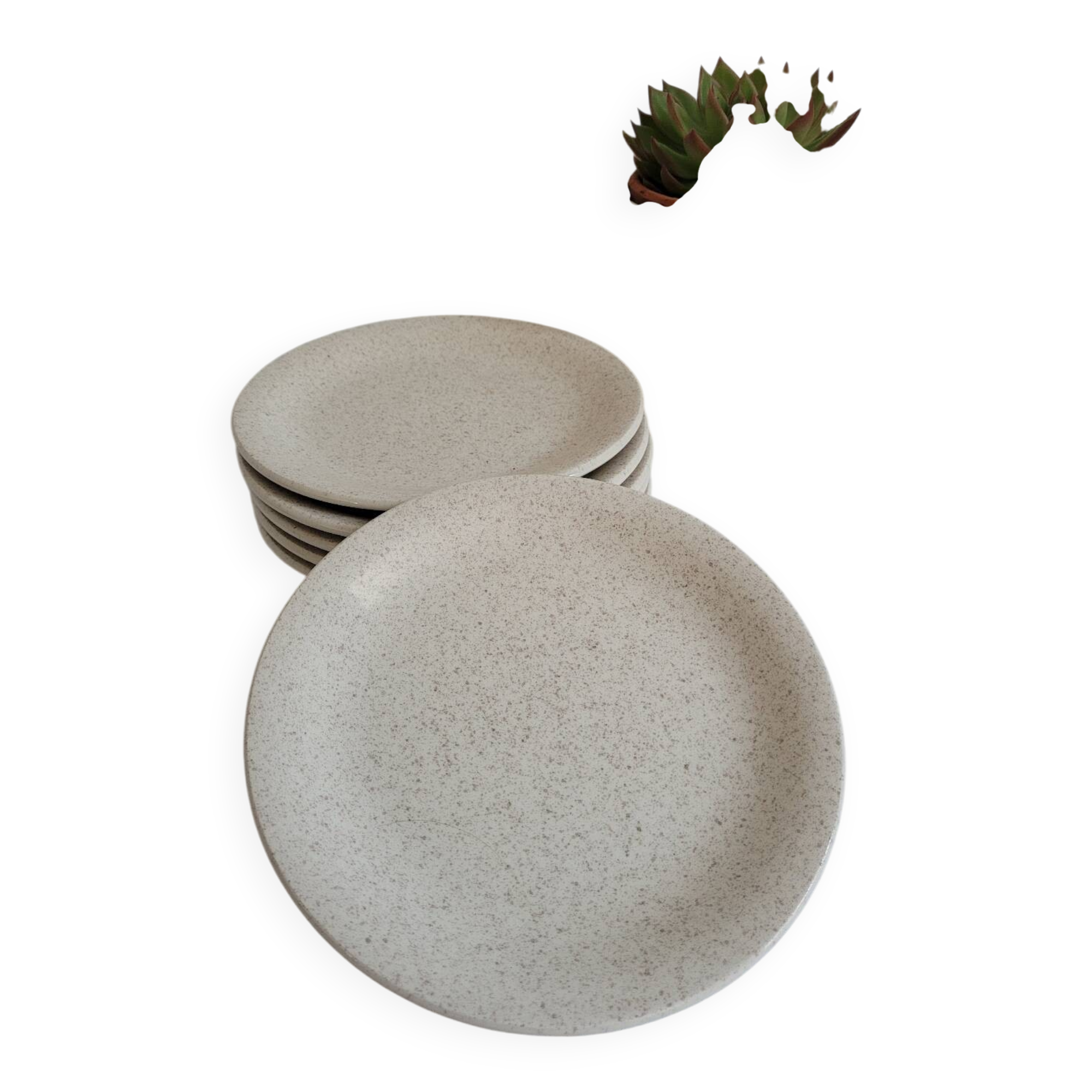 6 assiettes à dessert mouchetées