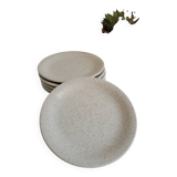 6 assiettes à dessert mouchetées