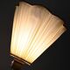 1950s Scandinavian teak and brass floor lamp