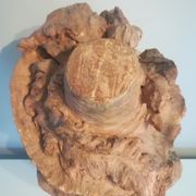 Bust signed D. Van Den Bossche in terracotta
