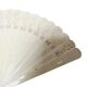 Art Nouveau celluloid fan, 1900s