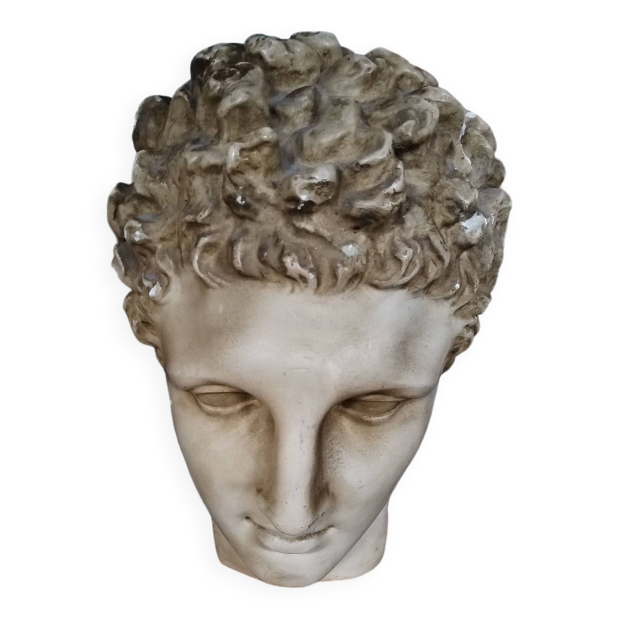 Antique plaster head of a man early 20th century