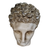 Tête antique plâtre  homme début 20 éme