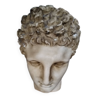 Tête antique plâtre  homme début 20 éme