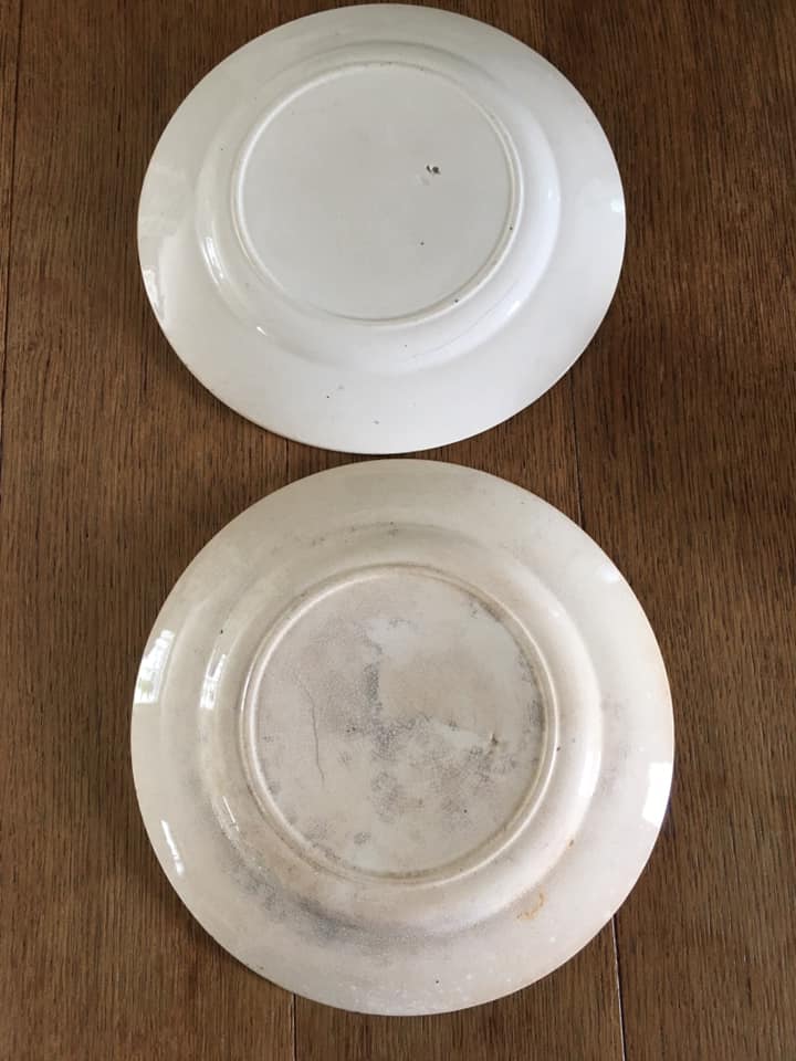 2 old flat plates decorated with dark blue roses in earthenware. Two different settings