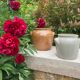 Light grey ceramic jar