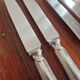 Ercuis - Set of 4 table knives model Chinon with metal outline.