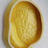 Lemon slip cheese platter