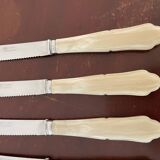 Set of 12 vintage knives and case